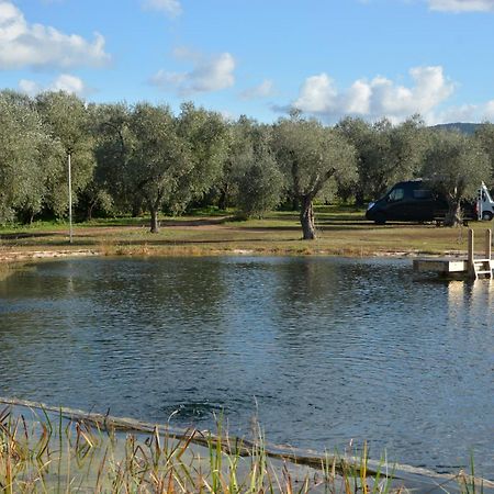 Agriturismo Biorussi Carpino Eksteriør billede
